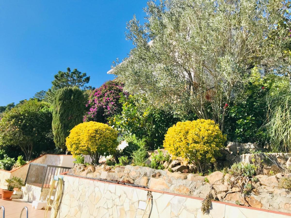 Mediterranean Investingspain Sea View And Pool Willa *